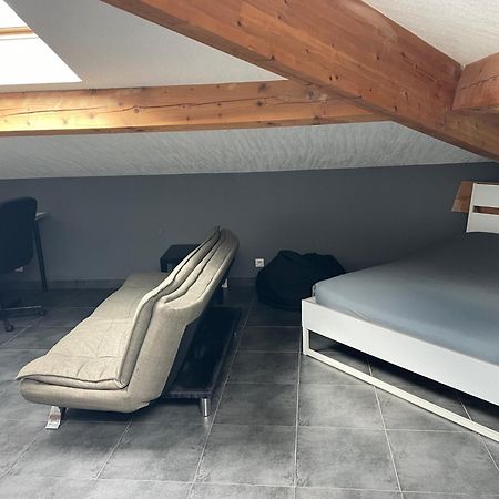 Studio7 Proche Fac Climatise Albi Eksteriør billede